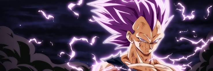 Vegeta banner